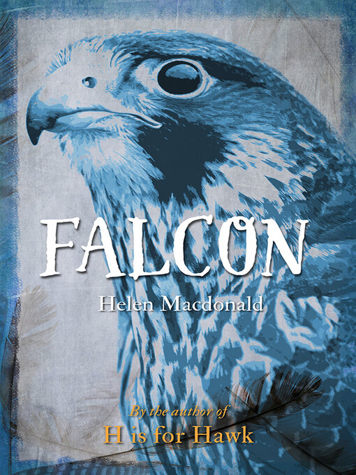 Title details for Falcon by Helen Macdonald - Available